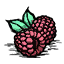 02联机mod区:海洋传说:精耕细作:树莓.png