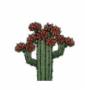 02联机mod区:legion:plant_cactus_meat_l.jpg